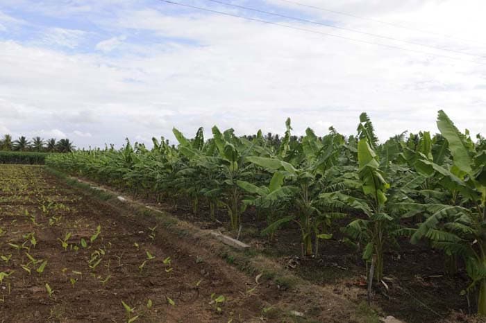 Audi Great India quattro Drive 3 photo gallery  